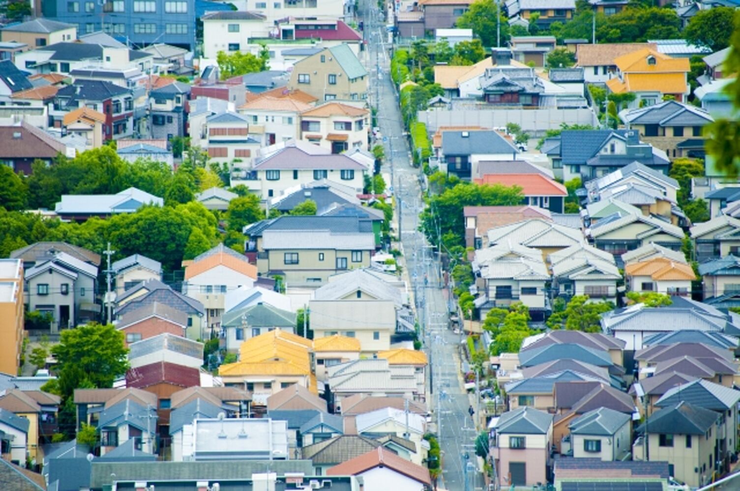 画像2297