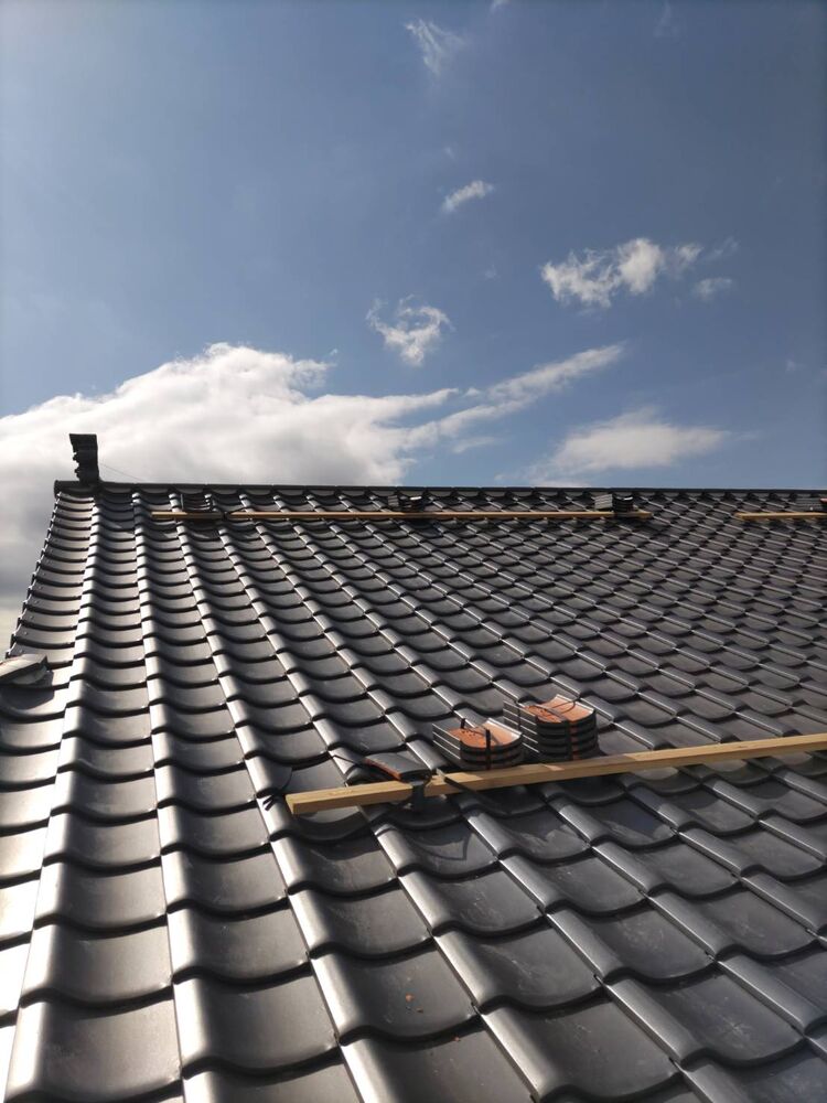 画像3893
